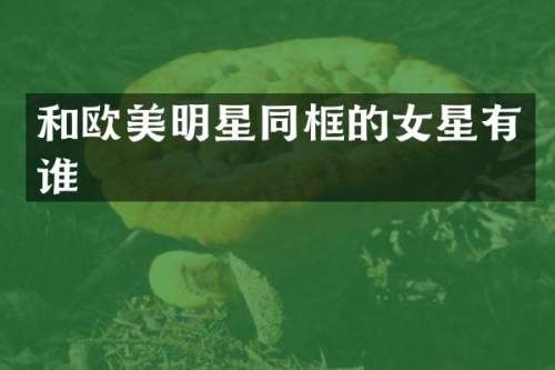 和欧美明星同框的女星有谁