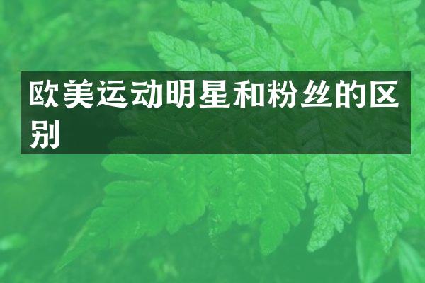 欧美运动明星和粉丝的区别
