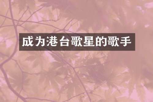 成为港台歌星的歌手