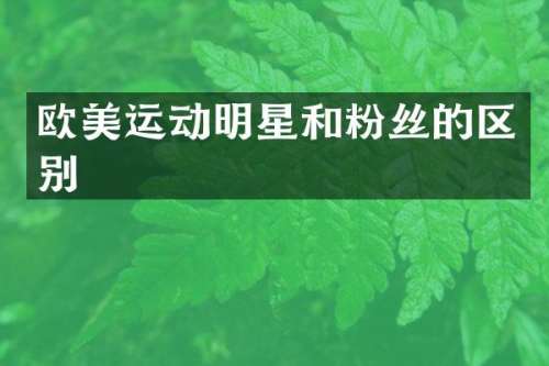 欧美运动明星和粉丝的区别