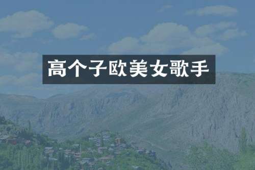 高个子欧歌手