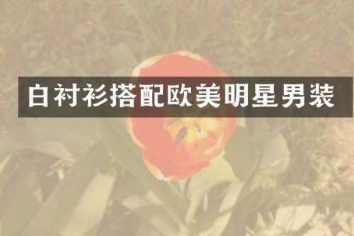白衬衫搭配欧美明星男装