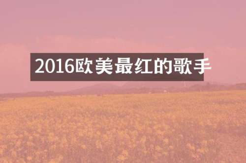 2016欧美最红的歌手