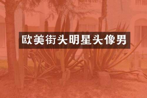 欧美街头明星头像男