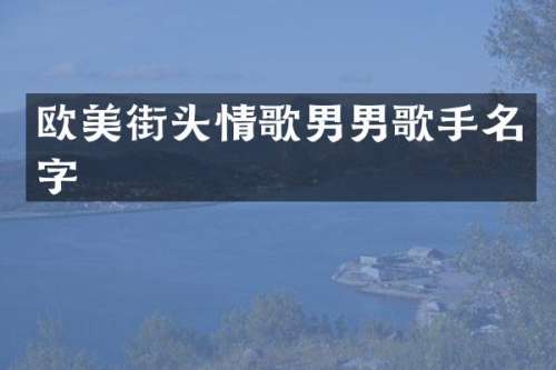 欧美街头情歌男男歌手名字