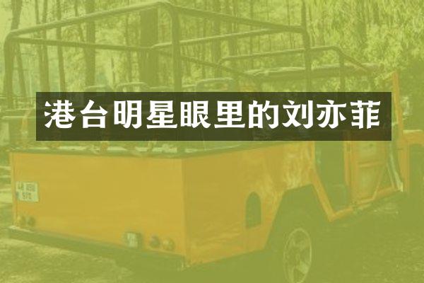 港台明星眼里的刘亦菲