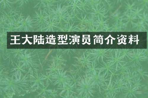 王大陆造型演员简介资料