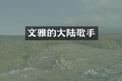 文雅的大陆歌手