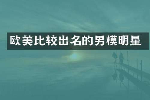 欧美比较出名的男模明星