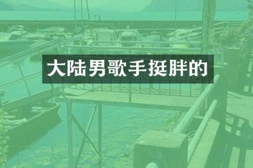 大陆男歌手挺胖的