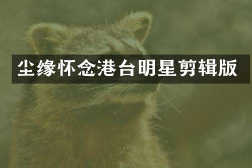 尘缘怀念港台明星剪辑版