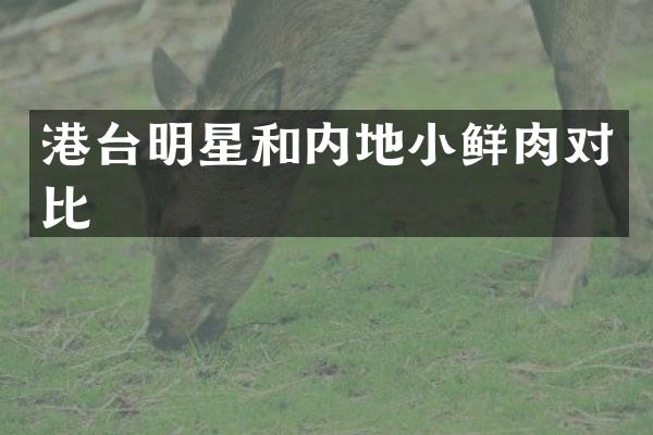 港台明星和内地小鲜肉对比