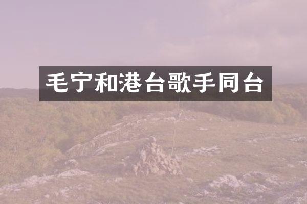 毛宁和港台歌手同台