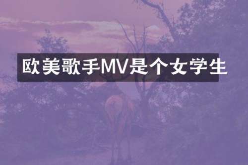 欧美歌手MV是个