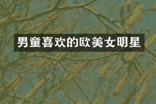 男童喜欢的欧明星