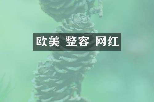 欧美 整容 网红