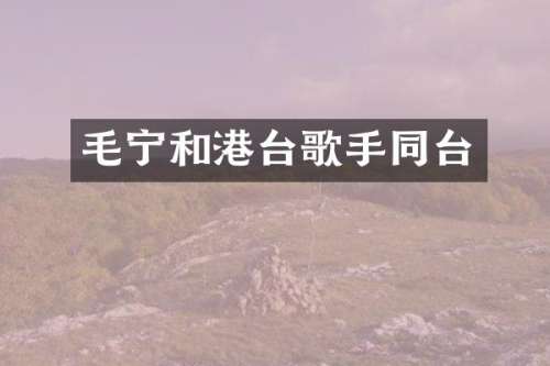 毛宁和港台歌手同台