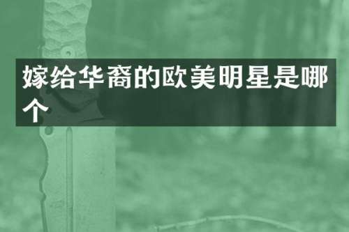 嫁给华裔的欧美明星是哪个
