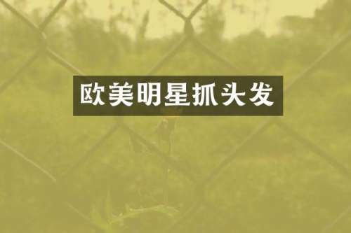 欧美明星抓头发