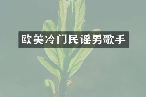 欧美冷门民谣男歌手