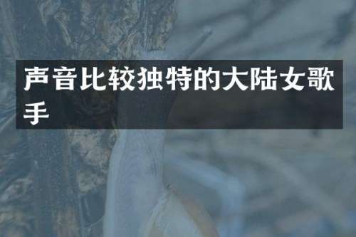 声音比较独特的大陆女歌手