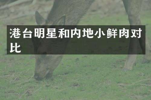 港台明星和内地小鲜肉对比