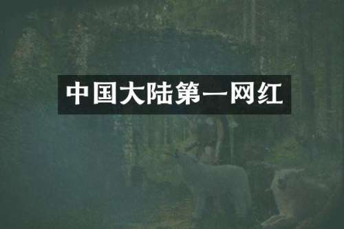 中国大陆第一网红
