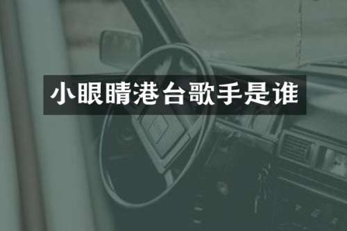 小眼睛港台歌手是谁