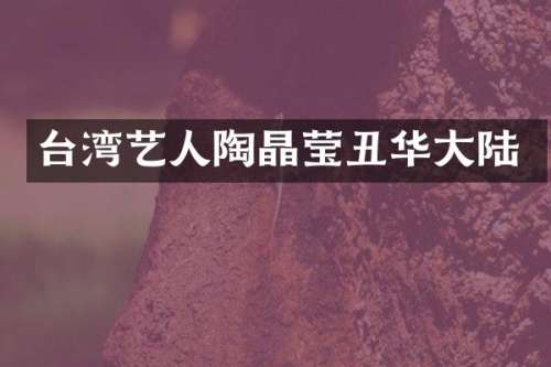 台湾艺人陶晶莹丑华大陆