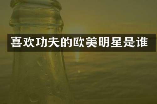 喜欢功夫的欧美明星是谁