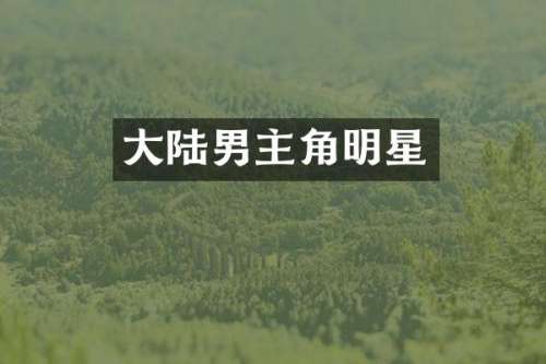 大陆男主角明星