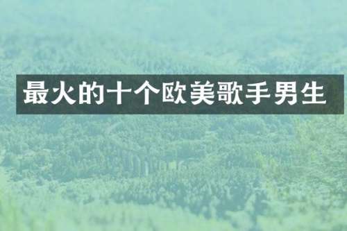最火的十个欧美歌手男生