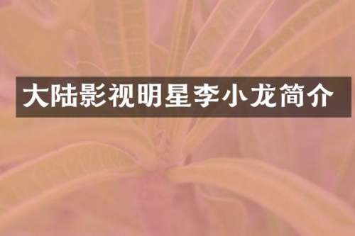 大陆影视明星李小龙简介