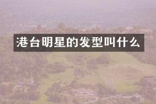 港台明星的发型叫什么