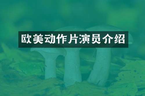 欧美动作片演员介绍