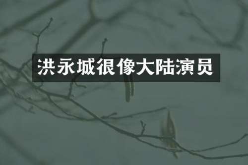 洪永城很像大陆演员