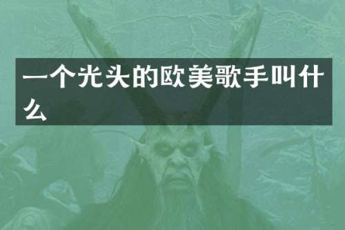 一个光头的欧美歌手叫什么