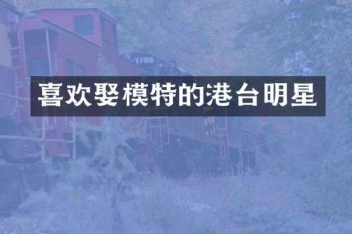 喜欢娶模特的港台明星