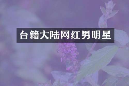台籍大陆网红男明星