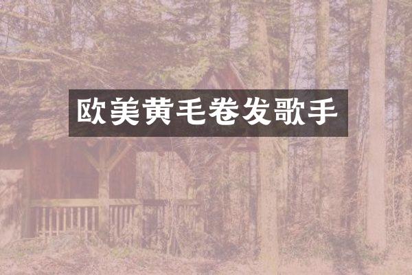 欧美黄毛卷发歌手