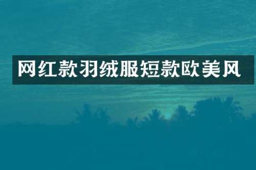 网红款羽绒服短款欧美风
