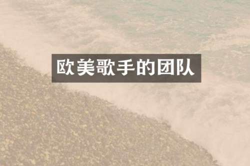 欧美歌手的团队