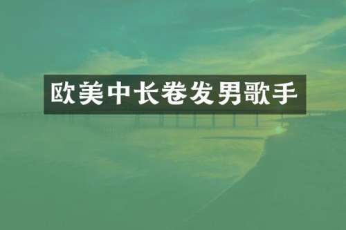 欧美中长卷发男歌手