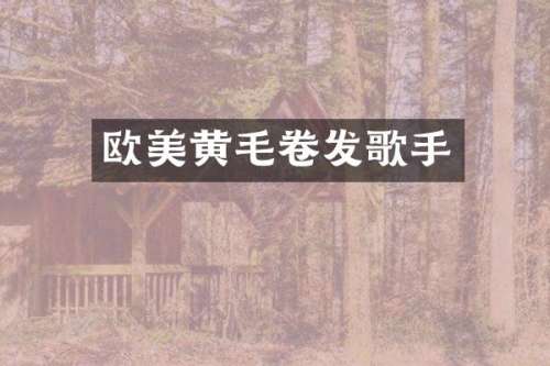 欧美黄毛卷发歌手