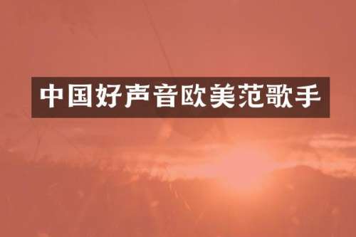 中国好声音欧美范歌手