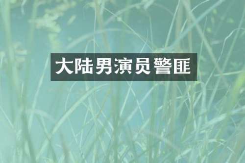 大陆男演匪
