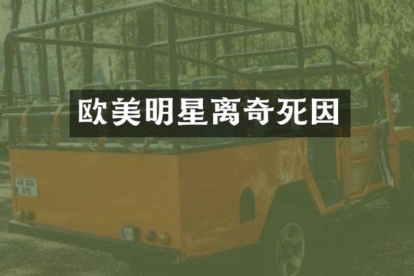欧美明星离奇死因