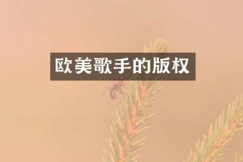 欧美歌手的版权