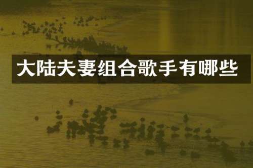 大陆夫妻组合歌手有哪些