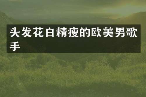 头发花白精瘦的欧美男歌手